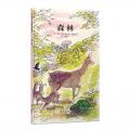 信谊世界精选图画书·森林 （一幅生机勃勃、诗意盎然的画卷，一趟令人心旷神怡的大自然之旅）