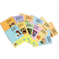 冰心奖获奖作家书系：第二辑全12册（繁星永照，春水长流。我国惟一的国际华人儿童文学艺术大奖，用最优秀的儿童图书传递给孩子最真诚的爱。 海豚传媒出品）         /