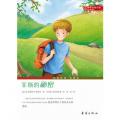 国际大奖小说·升级版——菲斯的秘密