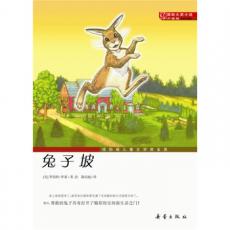 国际大奖小说（升级版）--兔子坡