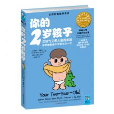 你的2岁孩子（又好气又惹人爱的年龄，培养幽默感不可错过这一年）（全球阶梯教养圣经，耶鲁大学20年研究成果，全球畅销30年）/埃姆斯